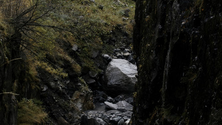 Similar image 22408004