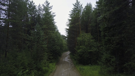 Similar image 22408124