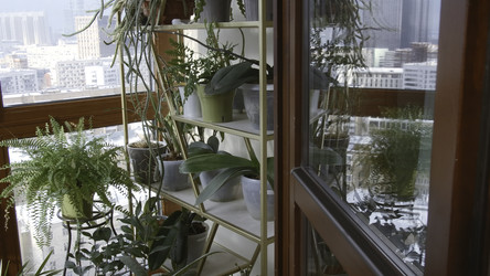 Similar image 22408168