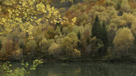 Similar image 22408184