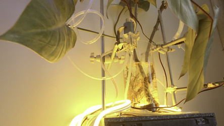 Similar image 22400982