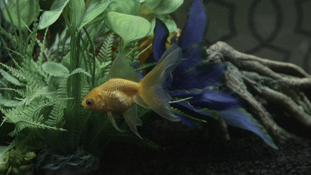 Similar image 22401042