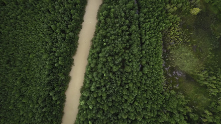 Similar image 22401161