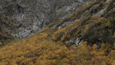 Similar image 22401250