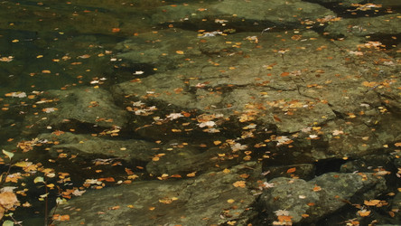 Similar image 22401286