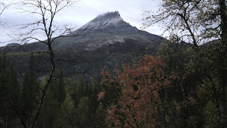 Similar image 22401375