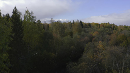 Similar image 22401448