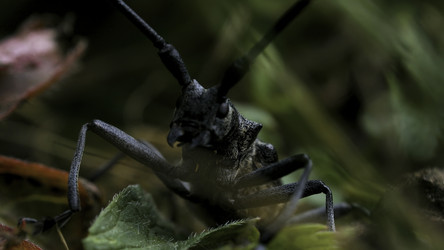 Similar image 22401450