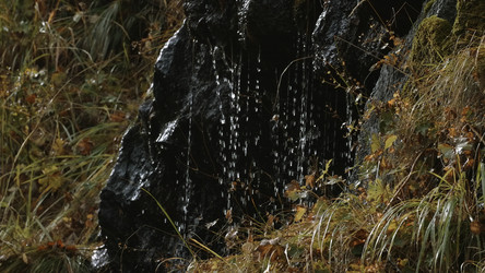 Similar image 22401510