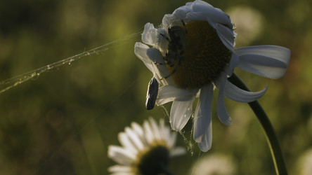 Similar image 22401524