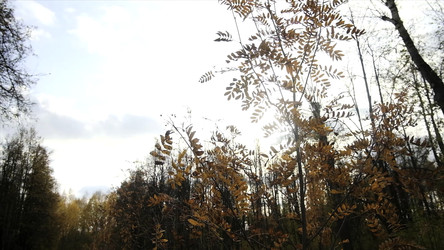 Similar image 22402236