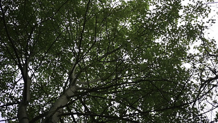 Similar image 22402281