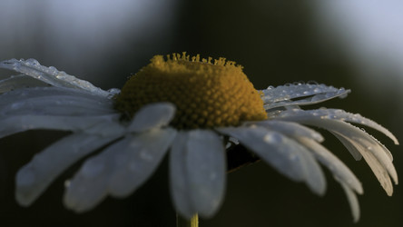 Similar image 22402327