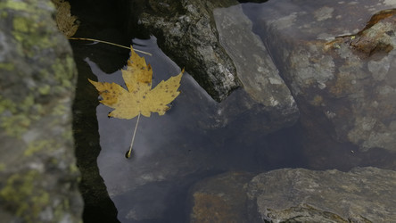 Similar image 22401392