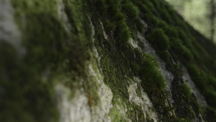 Similar image 22401465