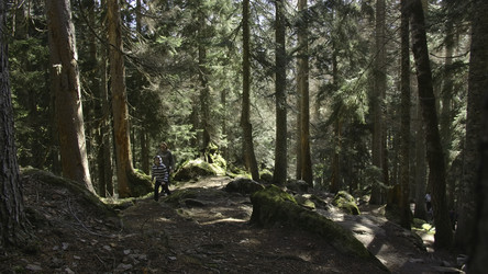 Similar image 22401482