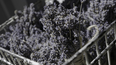 Similar image 22401643