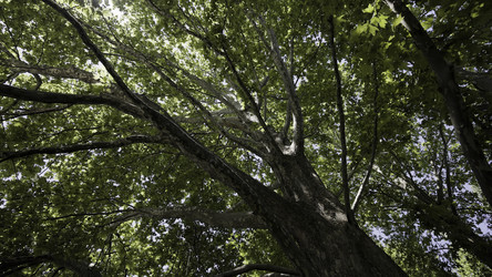 Similar image 22401850