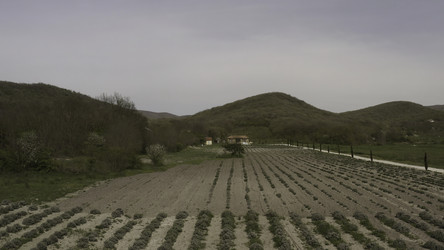 Similar image 22401923