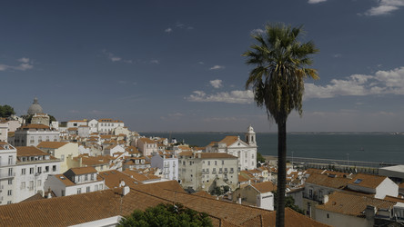 Similar image 22401953