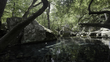 Similar image 22401983