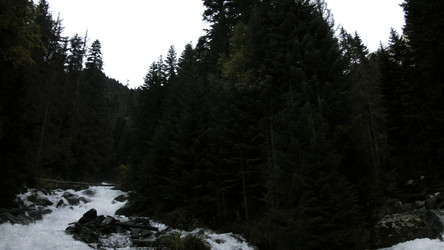 Similar image 22402013