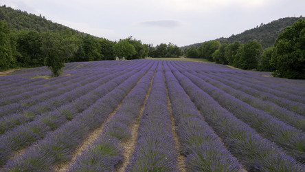 Similar image 22402030