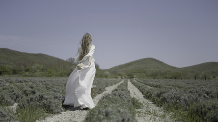 Similar image 22402150