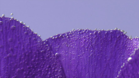 Similar image 22402315