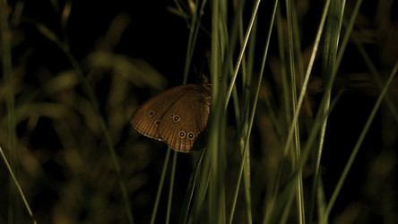 Similar image 22401148