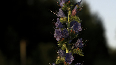 Similar image 22401177