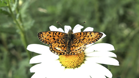 Similar image 22401207