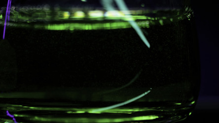 Similar image 22401274