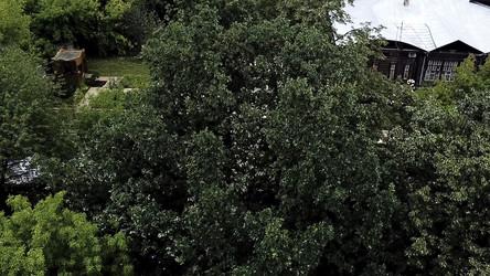 Similar image 22401349