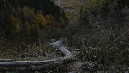 Similar image 22401603