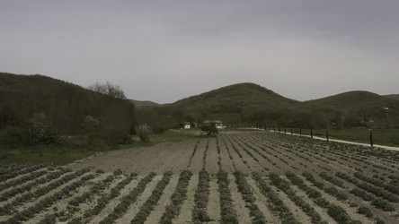 Similar image 22401657