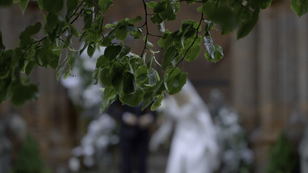 Similar image 22402182