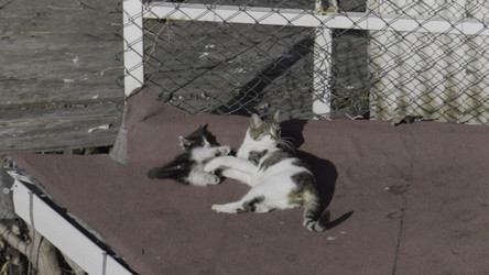 Similar image 22402198