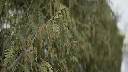 Similar image 22402286