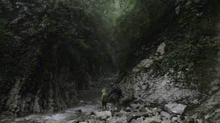 Similar image 22401276