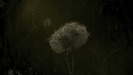 Similar image 22401337