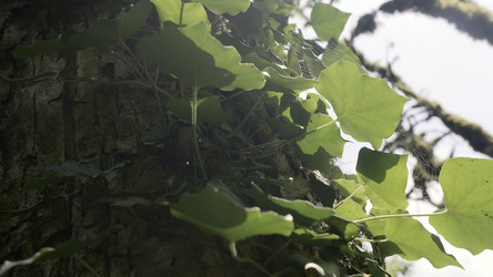 Similar image 22401380