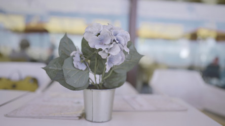 Similar image 22401584