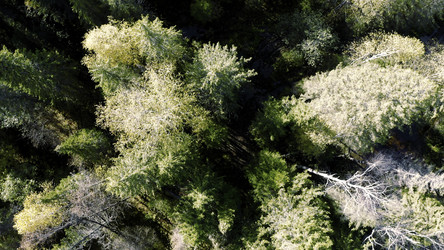 Similar image 22401896