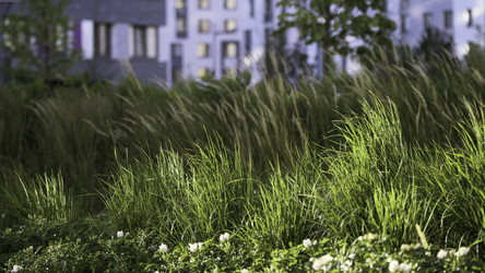 Similar image 22402017