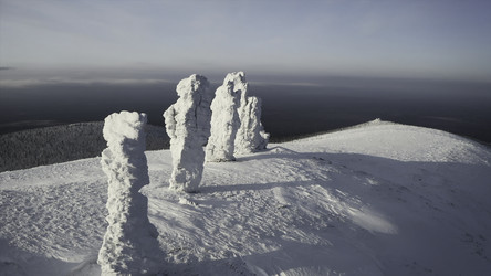 Similar image 22402050