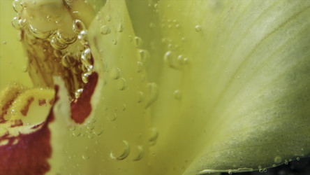 Similar image 22402168