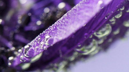 Similar image 22402184