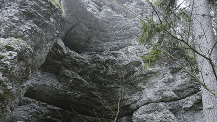 Similar image 22402201