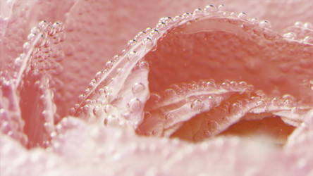 Similar image 22402213